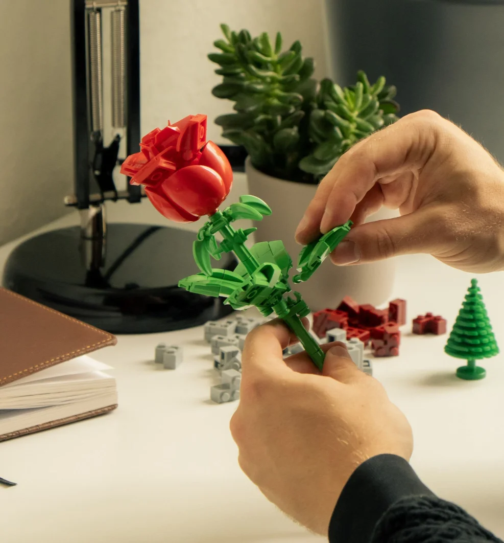 Hast du schon ein Geschenk für den Valentinstag? ❤️